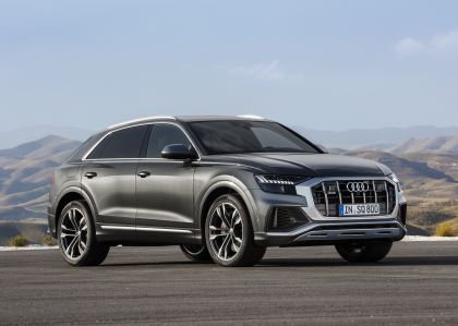 2019 Audi SQ8 TDI 24