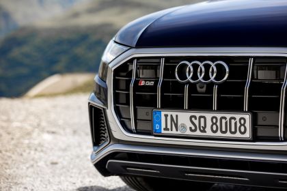 2019 Audi SQ8 TDI 51