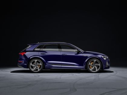 2021 Audi e-tron S 41