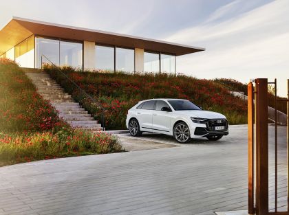 2021 Audi Q8 60 TFSI e quattro 10