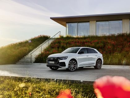 2021 Audi Q8 60 TFSI e quattro 11