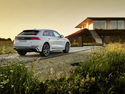 2021 Audi Q8 60 TFSI e quattro 12