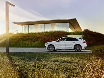 2021 Audi Q8 60 TFSI e quattro 15