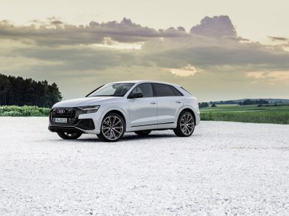 2021 Audi Q8 60 TFSI e quattro 16