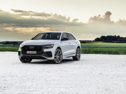 2021 Audi Q8 60 TFSI e quattro 17