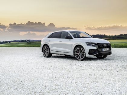 2021 Audi Q8 60 TFSI e quattro 18