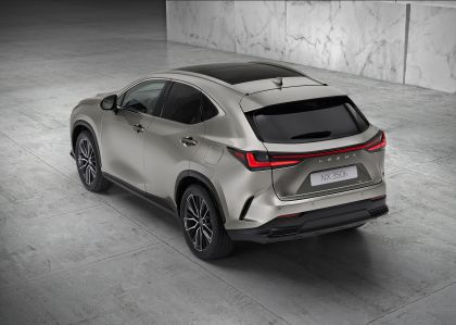 2022 Lexus NX 350h 5