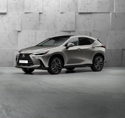 2022 Lexus NX 350h 7