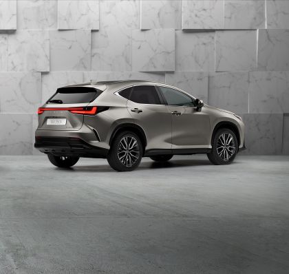 2022 Lexus NX 350h 9