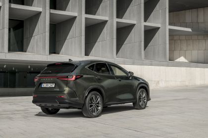 2022 Lexus NX 350h 29