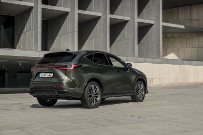 2022 Lexus NX 350h 30