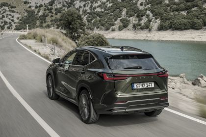 2022 Lexus NX 350h 33