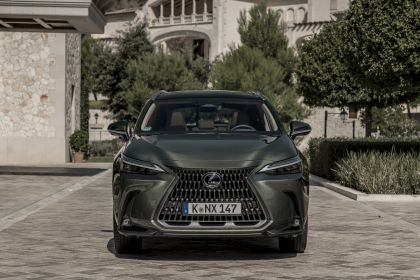 2022 Lexus NX 350h 68