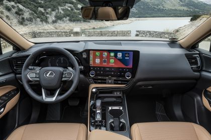 2022 Lexus NX 350h 78