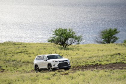 2024 Toyota Grand Highlander Limited 50