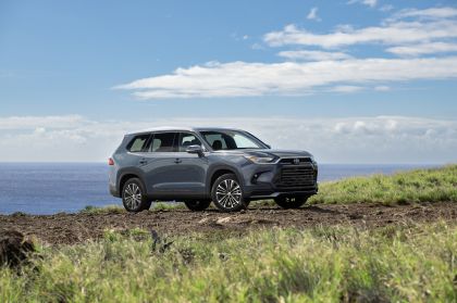 2024 Toyota Grand Highlander Platinum 30