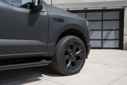 2024 Ford F-150 Lightning Platinum Black 6