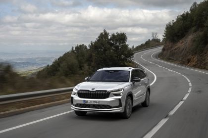 2024 Skoda Kodiaq Sportline 21