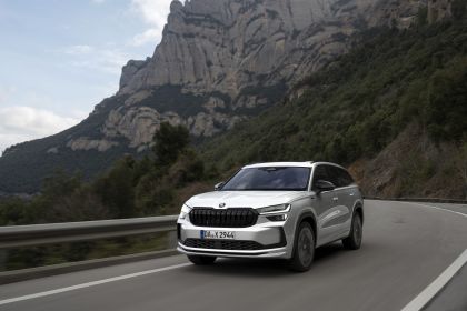 2024 Skoda Kodiaq Sportline 22