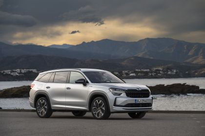 2024 Skoda Kodiaq Sportline 32