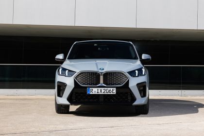 2024 BMW iX2 ( U10 ) xDrive30 91