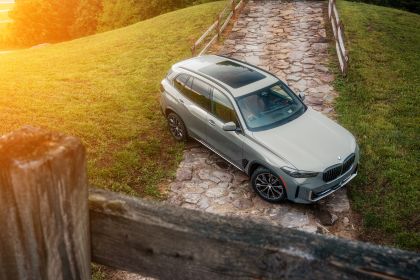 2024 BMW X5 ( F95 ) Silver Anniversary Edition 9