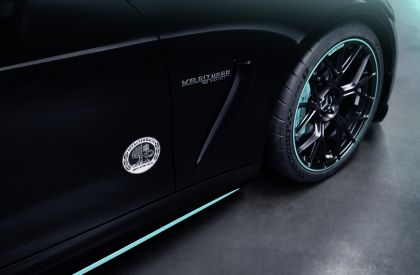 2024 Mercedes-AMG GT 63 Pro 4Matic+ Motorsport Collectors Edition 15