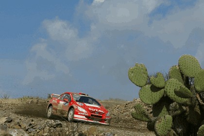 2004 Peugeot 307 WRC 3