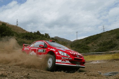 2004 Peugeot 307 WRC 6