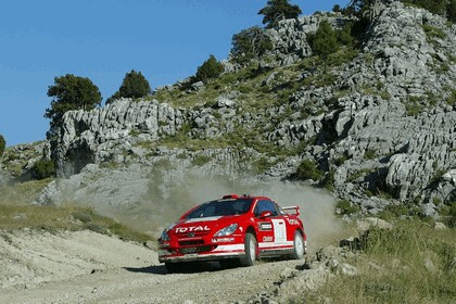 2004 Peugeot 307 WRC 7