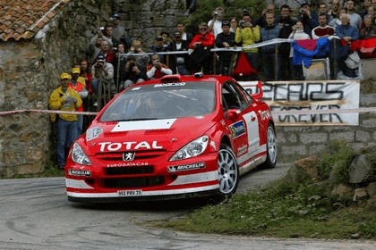 2004 Peugeot 307 WRC 14
