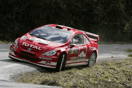 2004 Peugeot 307 WRC 15