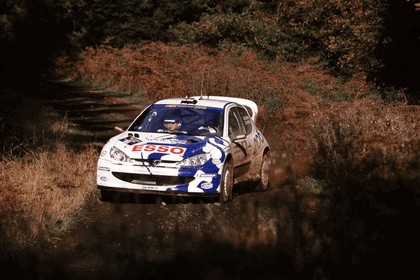 1999 Peugeot 206 WRC 1