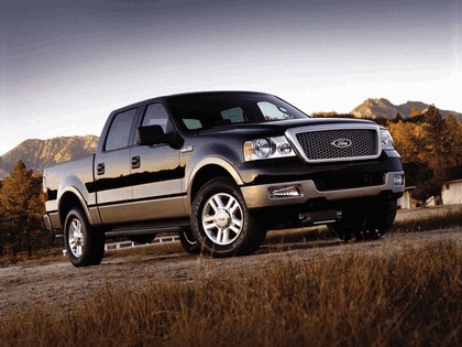 2004 Ford F-150 18