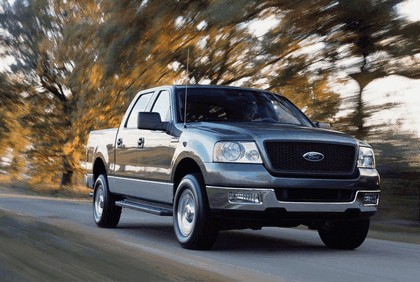 2004 Ford F-150 23