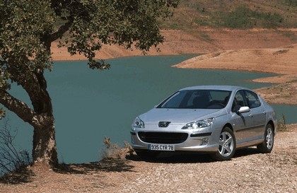 2004 Peugeot 407 5