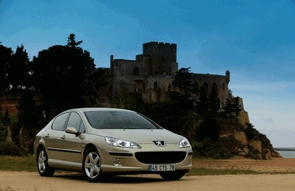 2004 Peugeot 407 9