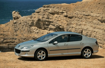 2004 Peugeot 407 13