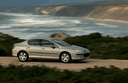 2004 Peugeot 407 14