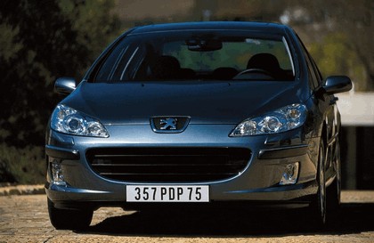 2004 Peugeot 407 24