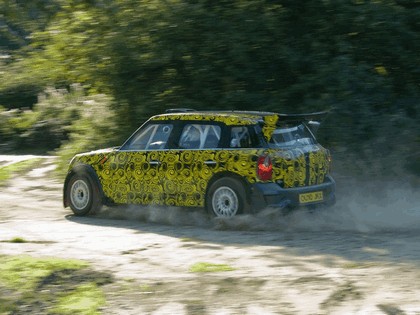 2011 Mini Countryman WRC 11