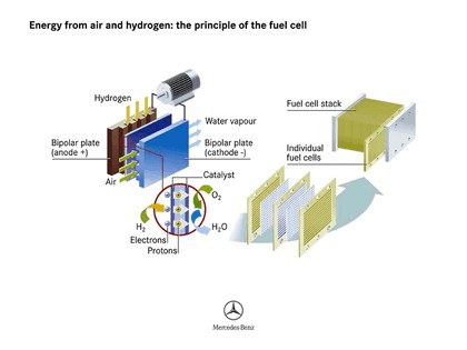 2005 Mercedes-Benz F600 HyGenius concept 79