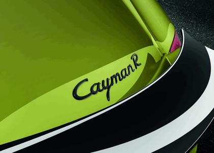 2011 Porsche Cayman R 121