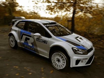 2011 Volkswagen Polo R WRC prototype 19