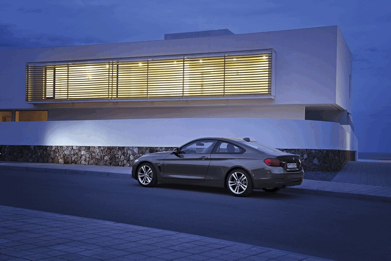 2013 BMW 420d ( F32 ) 388100