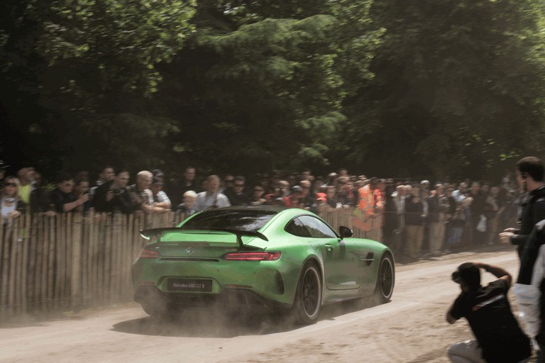 2016 Mercedes-AMG GT R 448533