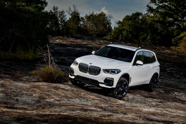 2019 BMW X5 ( G05 ) xDrive 30d #517879 - Best quality free high