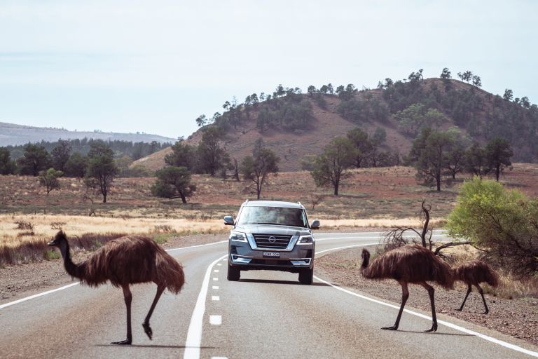 2022 Nissan Patrol - Australian version 668357