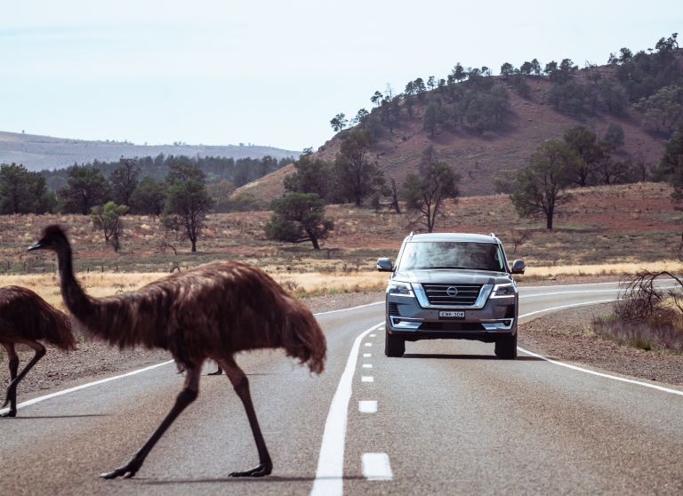 2022 Nissan Patrol - Australian version 668359