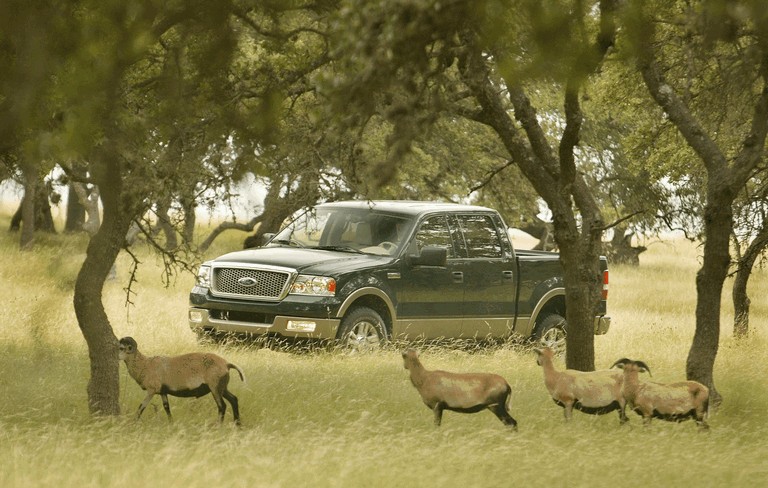 2004 Ford F-150 485369